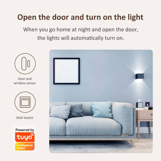 Tuya Smart WiFi Door/Window Sensor with Loud Alarm & Instant Alerts