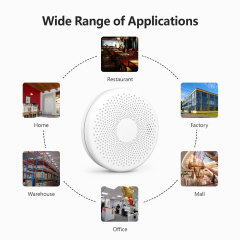 Tuya Smart WiFi Smoke & CO Alarm – 2 - in - 1 Protection, App Alerts, Loud 85dB Alarm for Home Safety