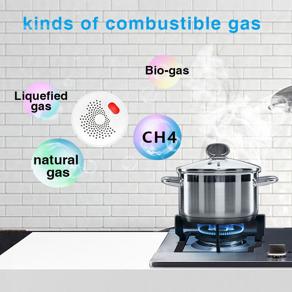 Tuya Smart WiFi Gas Sensor: Real - time Leak Detection, App Alerts, Works with Tuya Ecosystem