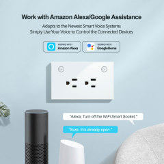 Tuya Smart US 2CH WiFi Smart Wall Socket - Voice & App Control