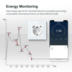 Tuya Smart WiFi EU Smart Wall Socket with Metering, USB & Type - C