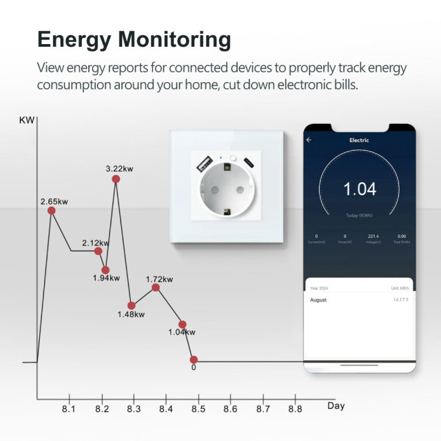 Tuya Smart WiFi EU Smart Wall Socket with Metering, USB & Type - C