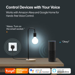 Tuya Smart WiFi EU Smart Wall Socket with Metering, USB & Type - C