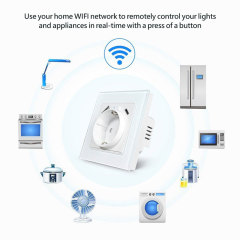 Tuya Smart WiFi EU Smart Wall Socket with Metering, USB & Type - C