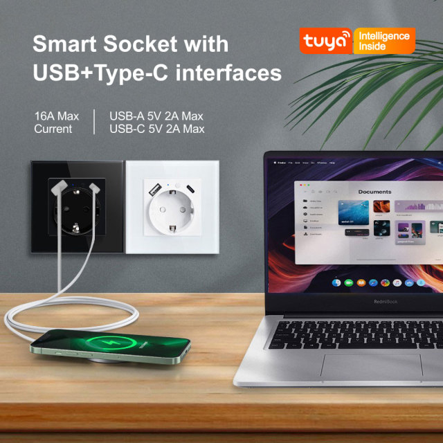 Tuya Smart WiFi EU Smart Wall Socket with Metering, USB & Type - C