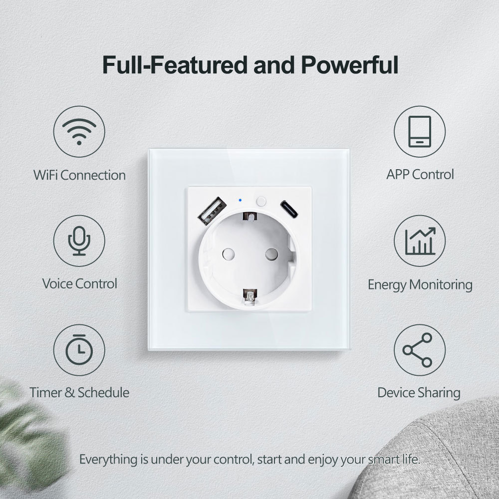 Tuya Smart WiFi EU Smart Wall Socket with Metering, USB & Type - C