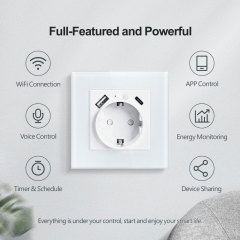 Tuya Smart WiFi EU Smart Wall Socket with Metering, USB & Type - C