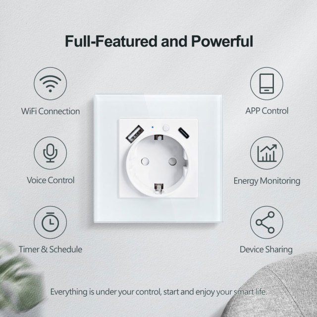 Tuya Smart WiFi EU Smart Wall Socket with Metering, USB & Type - C
