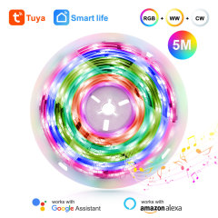 Tuya Smart WiFi RGB-IC LED Strip Kit 5M - IR/WiFi Control, Magic Color, Music Sync, App/Voice Control (Alexa/Google Home), RGB-IC Lighting