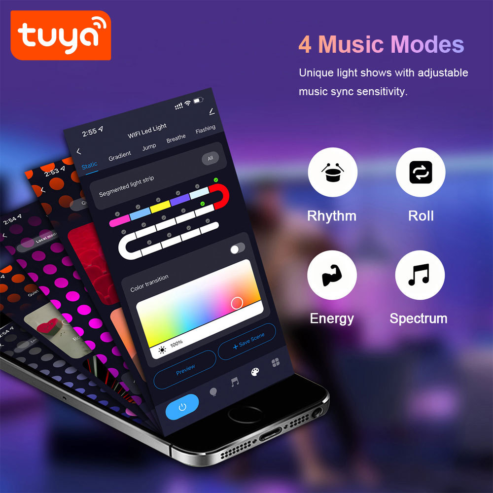 Tuya WiFi Bluetooth RGBIC Smart Ambient Light with IR Music Sync - Voice Control via Alexa & Google Assistant