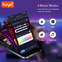 Tuya WiFi Bluetooth RGBIC Smart Ambient Light with IR Music Sync - Voice Control via Alexa & Google Assistant