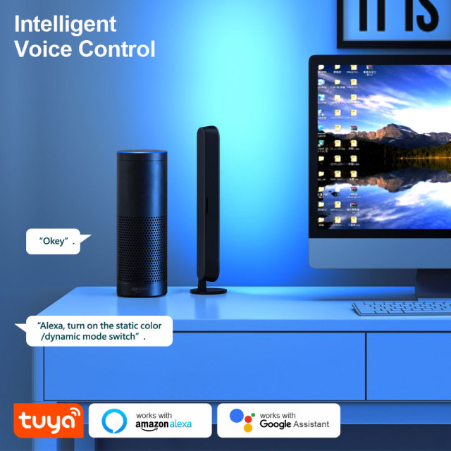 Tuya WiFi Bluetooth RGBIC Smart Ambient Light with IR Music Sync - Voice Control via Alexa & Google Assistant