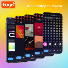 Tuya Smart RGBIC Ambient Double Lights - WiFi Bluetooth, IR Music Sync, Works with Alexa & Google Assistant