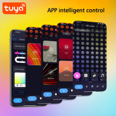 Tuya Smart WiFi RGBIC Hexagon Lights - 6PCS Modular LED Panels with Voice Control (Alexa/Google), Music Sync & DIY Splicing for Gaming Room Decor