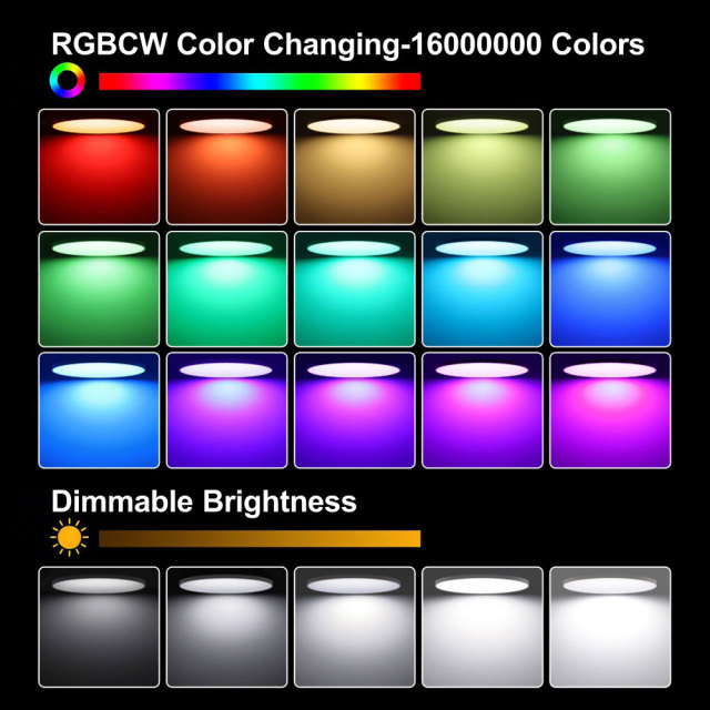 Tuya Smart WiFi RGBCW Ceiling Light 24W - Smart LED Ceiling Lamp with App, Voice Control