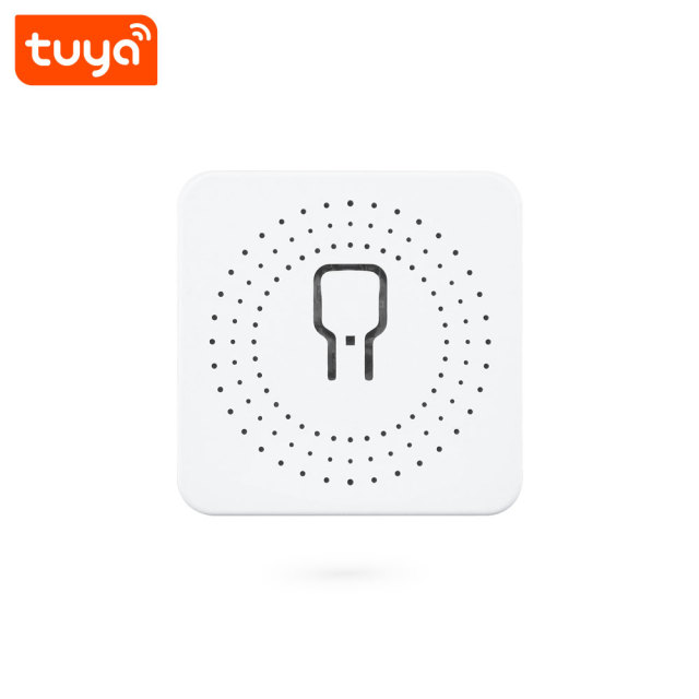 Tuya Smart Wi-Fi Mini 1CH Switch - Voice Control (Alexa/Google) 16A Smart Switch Module