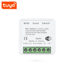 Tuya Smart Wi-Fi Mini 1CH Switch - Voice Control (Alexa/Google) 16A Smart Switch Module