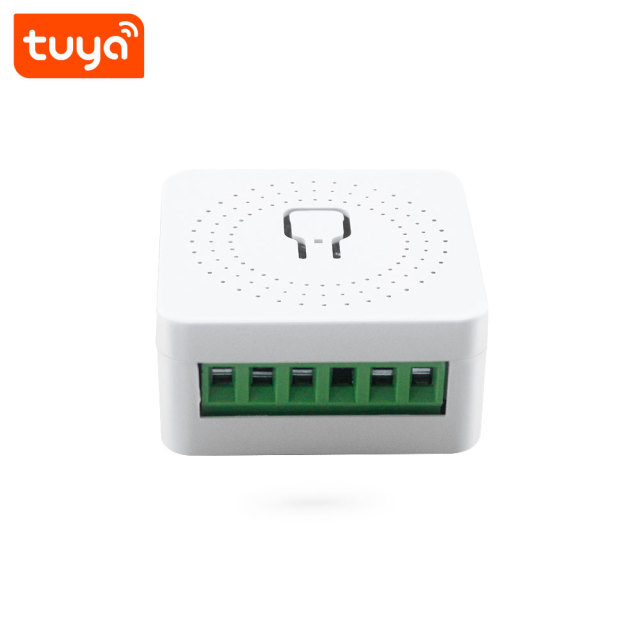 Tuya Smart Wi-Fi Mini 1CH Switch - Voice Control (Alexa/Google) 16A Smart Switch Module