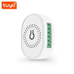 Tuya Smart Wi-Fi Mini 2CH Switch - 16A Dual-Channel Voice Control (Alexa/Google) Smart Switch Module