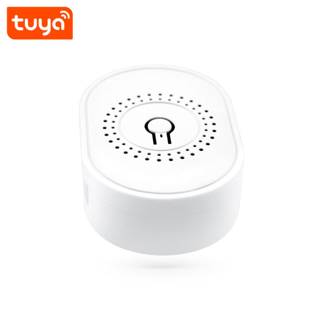 Tuya Smart Wi-Fi Mini 2CH Switch - 16A Dual-Channel Voice Control (Alexa/Google) Smart Switch Module