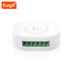 Tuya Smart Wi-Fi Mini 2CH Switch - 16A Dual-Channel Voice Control (Alexa/Google) Smart Switch Module