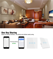 Tuya Smart EU WiFi Curtain Switch - Voice/App Control, Alexa/Google Home