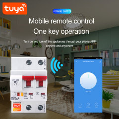 2P Tuya Smart MCB Switch | WiFi Circuit Breaker with Remote Control & Timing