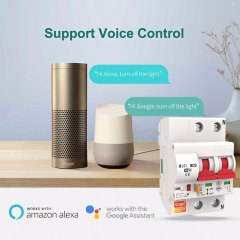 2P Tuya Smart MCB Switch | WiFi Circuit Breaker with Remote Control & Timing