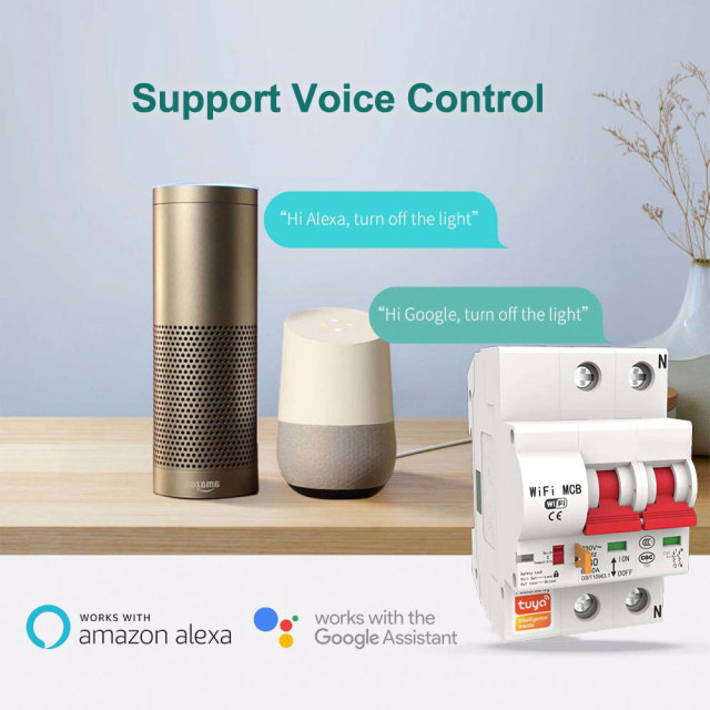 2P Tuya Smart MCB Switch | WiFi Circuit Breaker with Remote Control & Timing