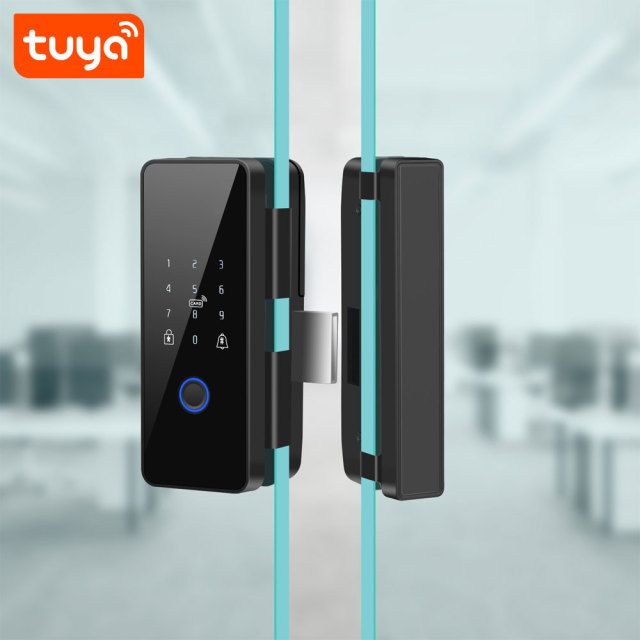 Tuya Smart Fingerprint Glass Door Lock with IC Card & Password Unlock