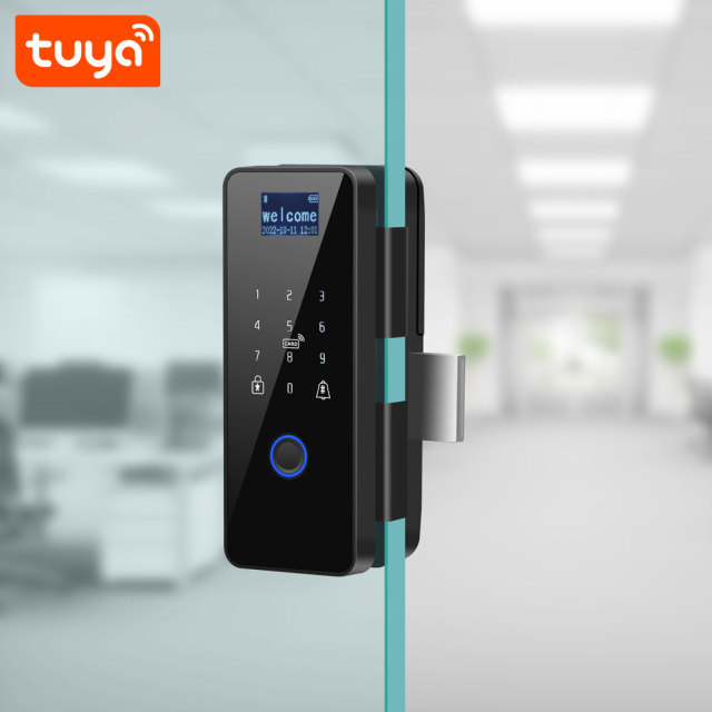 Tuya Smart Fingerprint Glass Door Lock with LCD Screen & IC Card Unlock