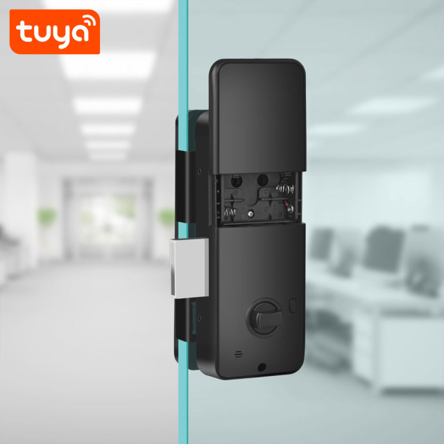 Tuya Smart Fingerprint Glass Door Lock with LCD Screen & IC Card Unlock