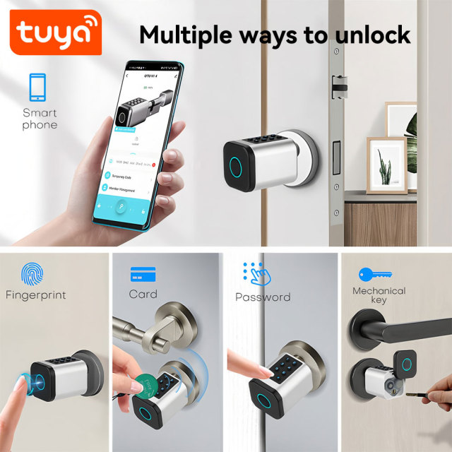 Tuya Smart BLE Fingerprint Password Cylinder Door Lock with Mechanical Key & Card Unlock