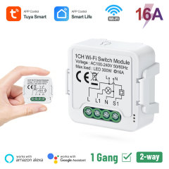 Tuya Smart 1 Channel Wi-Fi Switch Module 16A, Compact Size, Voice Control & Remote Control for Home Automation