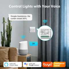 Tuya Smart 2CH Wi-Fi Curtain Module (No RF), 2×3A, APP & Voice Control