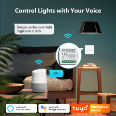 Tuya Smart 2 Channel WiFi Dimmer Module, Stepless Dimming, APP & Voice Control for Home Lighting