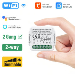 Tuya Smart 2 Channel WiFi Dimmer Module, Stepless Dimming, APP & Voice Control for Home Lighting
