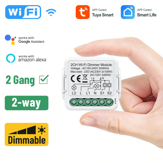 Tuya Smart 2 Channel WiFi Dimmer Module, Stepless Dimming, APP & Voice Control for Home Lighting