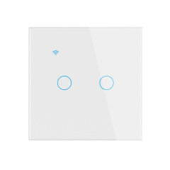 Tuya Smart 2CH WiFi EU Touch Switch, Tempered Glass Panel, Voice/APP/Touch Control, LED Backlight