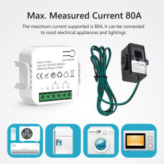 Tuya Smart WiFi 1CH Single Phase Clamp Smart Meter, 0-80A, Energy Monitoring & Power Alarm