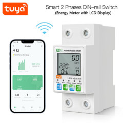 Tuya Smart WiFi 2P 63A LCD Energy Meter Leakage Circuit Breaker Switch