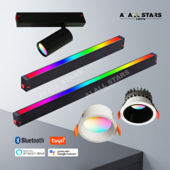 party rgbcw magnetic track light