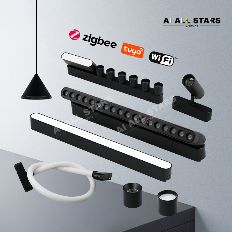 low-voltage magnetic track light