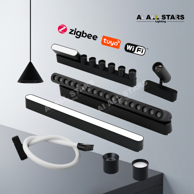 low-voltage magnetic track light