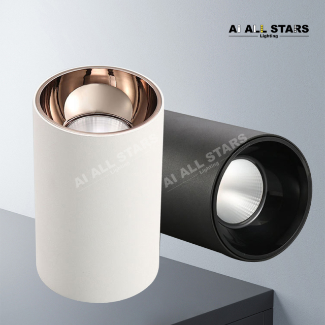 AS-3101 Multi-power selection led Downlight