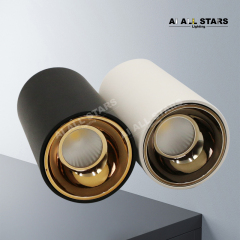 AS-3101 Multi-power selection led Downlight