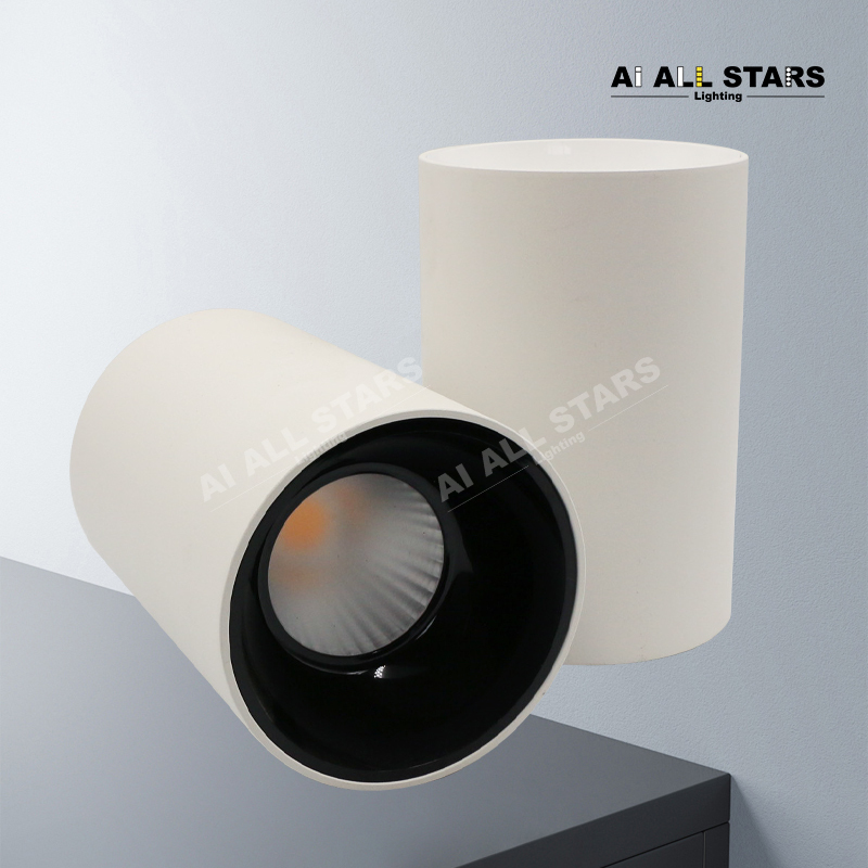 AS-3101 Multi-power selection led Downlight