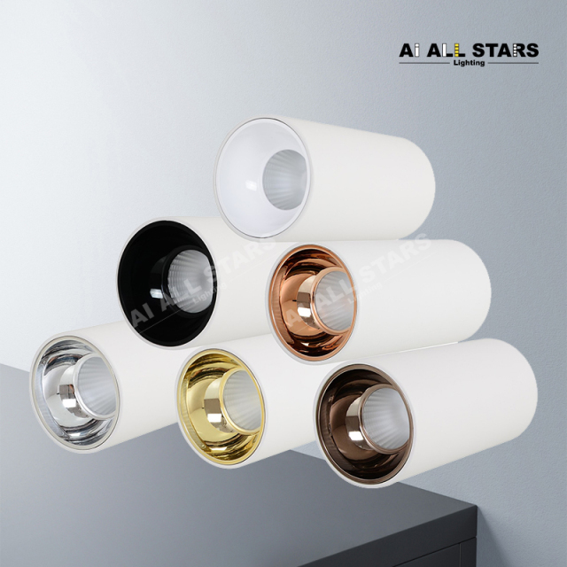 AS-3101 Multi-power selection led Downlight