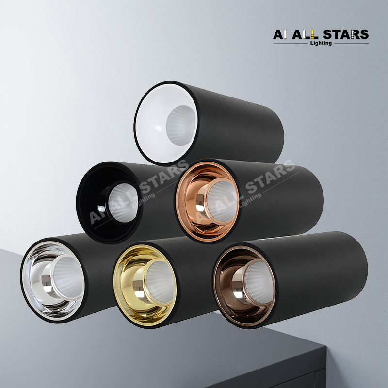 AS-3101 Multi-power selection led Downlight