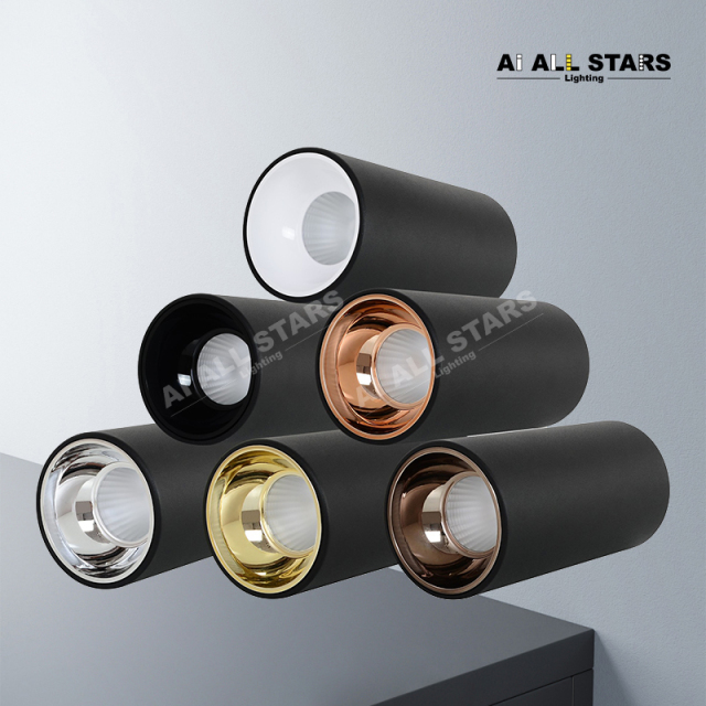 AS-3101 Multi-power selection led Downlight